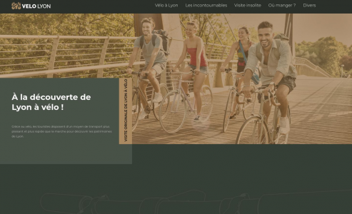 https://www.velo-lyon.fr